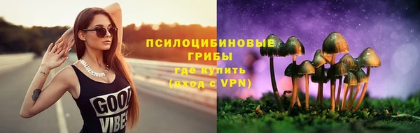 кокс Алексеевка
