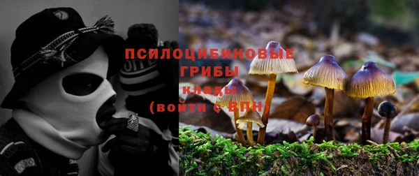 ALPHA PVP Алексин
