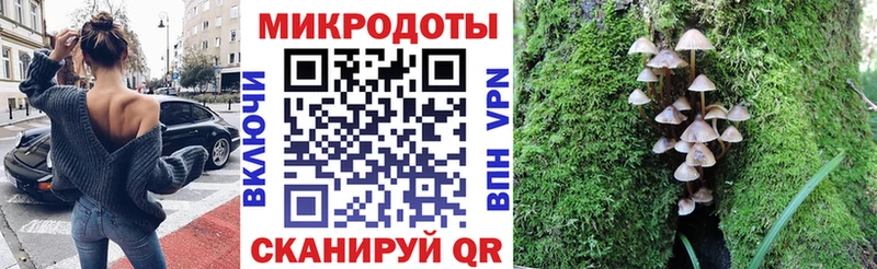 Галлюциногенные грибы мухоморы Козловка