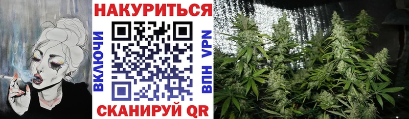 закладка МЕГА зеркало Конопля конопля Козловка